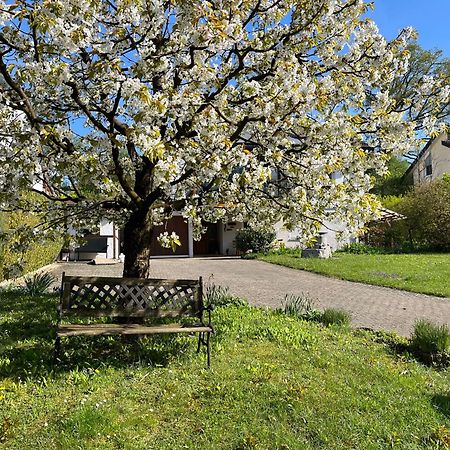 Ferienwohnung Am Kirschbaum Uhldingen-Mühlhofen Extérieur photo
