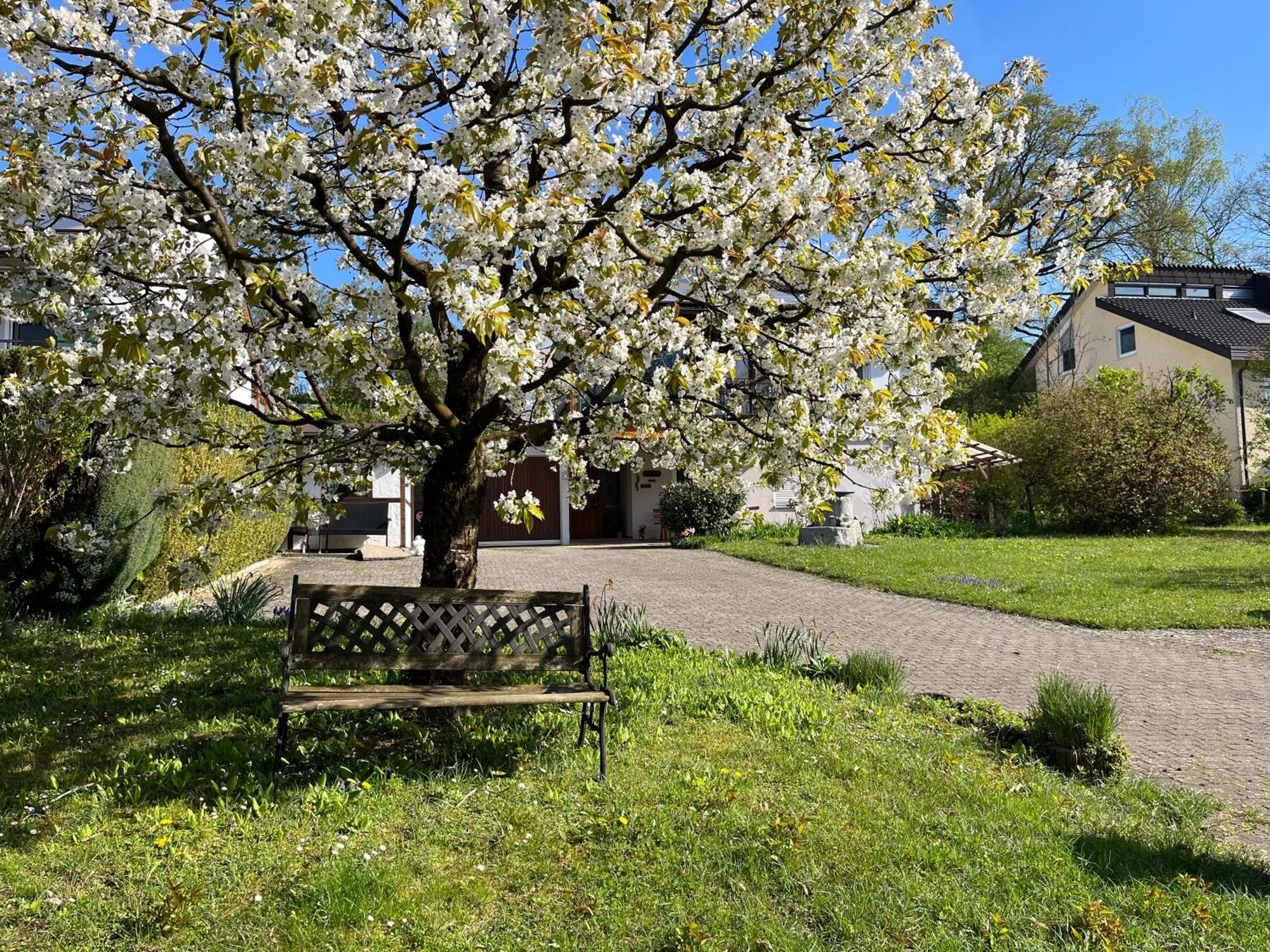 Ferienwohnung Am Kirschbaum Uhldingen-Mühlhofen Extérieur photo